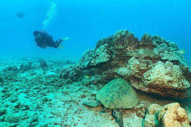 1 Tank Discover Scuba at Koloa Landing with No Experience needed - Old Koloa Town, Koloa, Poipu: how the route helps you time your day