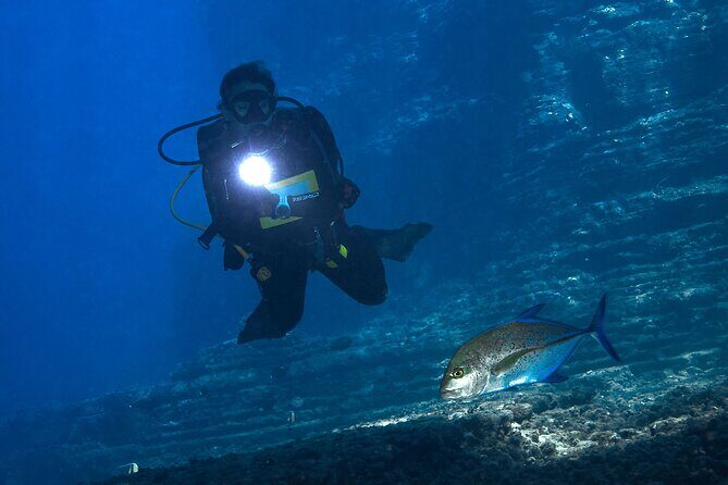 2 Tanks Scuba Dive Kaua'i from a Boat - Key Things That Make This Tour Worth Your Morning