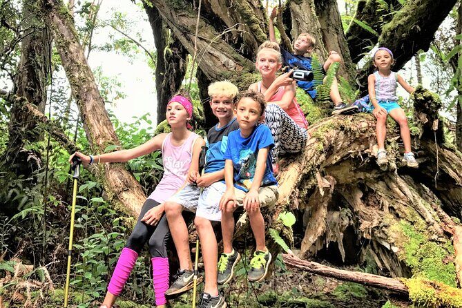 6-7 Hours Private Kauai's Hidden Gems Experience with Snacks - Stop 2: Kōkeʻe State Park viewpoints at ~4,000 feet, plus Kōkeʻe Lodge lunch timing
