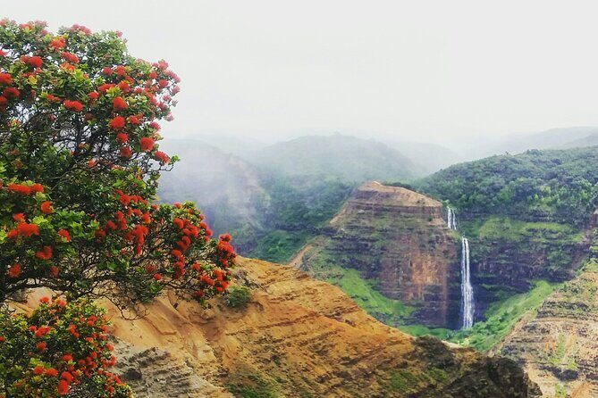 6-7 Hours Private Kauai's Hidden Gems Experience with Snacks - Guides who shape the day: examples from past groups