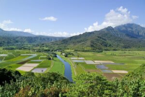 Cruise Ship Shore Excursion: Kauai Movie Sites Tour - Wailua Falls: Fantasy Island, Tropic Thunder, and the “wait, I’ve seen that” moment