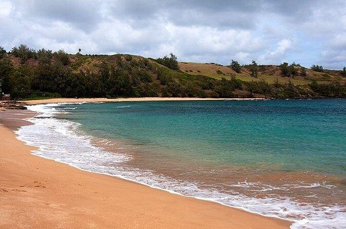 Cruise Ship Shore Excursion: Kauai Movie Sites Tour - Lunch at the midpoint: burgers, furikake fries, and handling gluten-free