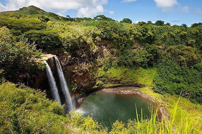 Cruise Ship Shore Excursion: Kauai Movie Sites Tour - Price and value: does $181 make sense for a movie-sites shore excursion?
