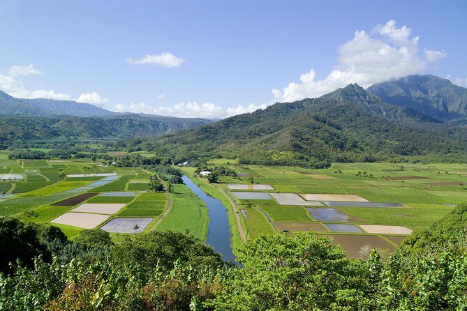 Cruise Ship Shore Excursion: Kauai Movie Sites Tour - Wailua Falls: Fantasy Island, Tropic Thunder, and the “wait, I’ve seen that” moment