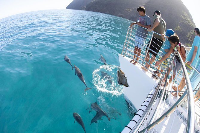 Deluxe Na Pali Morning Snorkel Tour on the Lucky Lady - Wildlife time: dolphins, sea turtles, and what to watch for