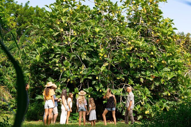 Farm and Food Experience in Kilauea - Who should book Common Ground Kauai (and who might not love it)