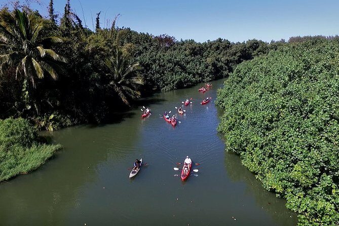 Hanalei Bay Morning Kayak and Snorkel Tour - Getting on the water: gear rules and the small details that affect comfort