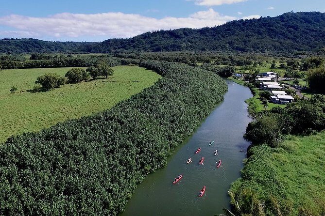 Hanalei Bay Morning Kayak and Snorkel Tour - Hanalei River kayaking: calm paddling plus real local context