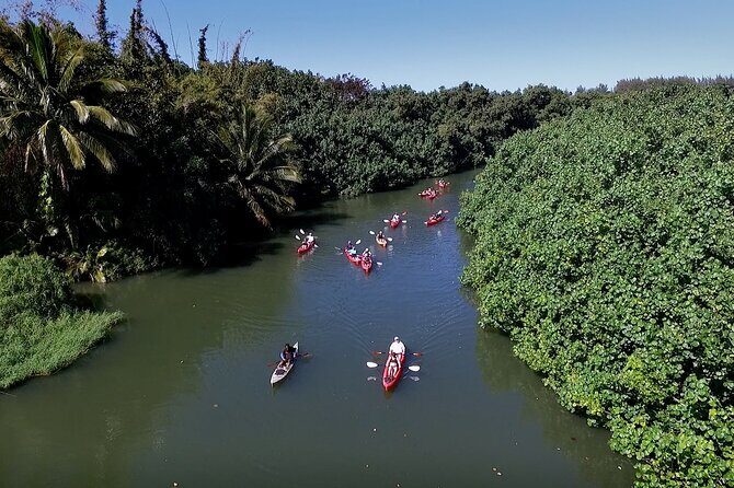 Hanalei Bay PM Kayak & Snorkel in Kauai - Snorkeling for about 45 minutes: rules that affect your comfort (and your photos)