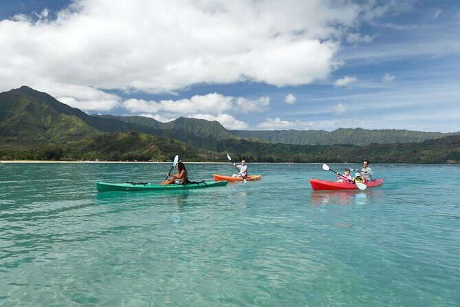Hanalei Bay PM Kayak & Snorkel in Kauai - Hanalei Bay wildlife viewing: honu spotting and reef-spotting skill building