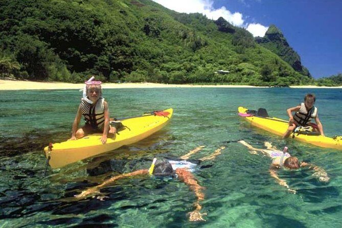 Hanalei River Paddle and Bay Snorkel Tour with Lunch - Hanalei River Paddle: Taro, Tropical Forest, and a Smooth Start on Doubles