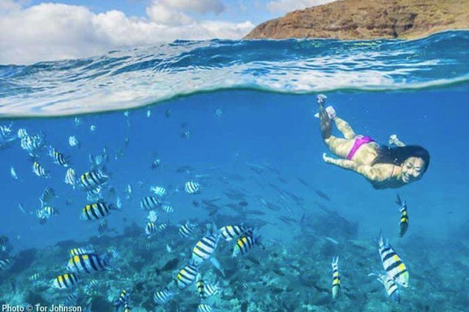 Hanalei River Paddle and Bay Snorkel Tour with Lunch - What Guides Can Change (Samuel, Jay, Harrison, Koa, and More)