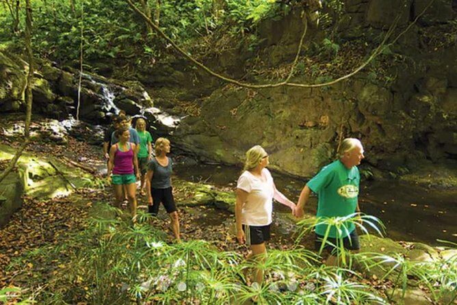 Huleia River Hidden Valley Falls Kayak & Hike - Price and value: is $162.28 worth 3.5 hours of water fun?