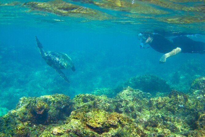 'Imiloa Express Nā Pali Snorkel Tour - On the Water: Na Pali Caves, Waterfalls, Dolphins, and Photo Stops