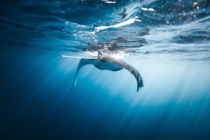 'Imiloa Express Nā Pali Snorkel Tour - Small Snags to Plan For: Gear, Bathrooms, and Weather Changes
