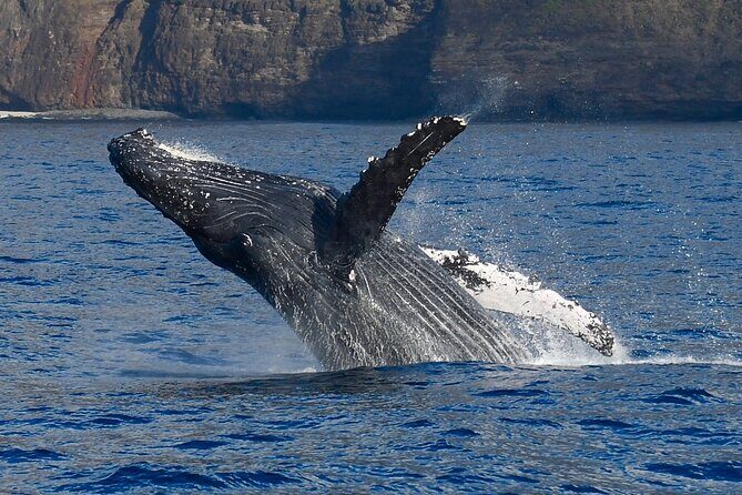 'Imiloa Express Na Pali Sunset Tour - Price and value: is $190.26 a fair deal?