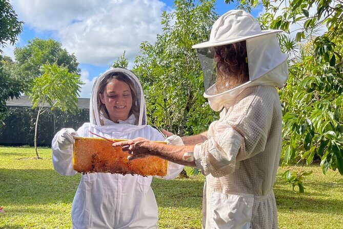 Inside the Hive: Kauai Honey and Bee Tour - Bee suits, safety basics, and what you must be able to do