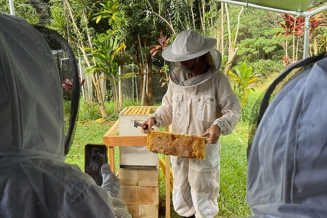 Inside the Hive: Kauai Honey and Bee Tour - Who should book this honey bee tour, and who should skip it
