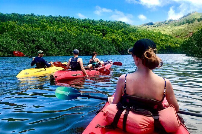 Kauai Adventure: Kayak & Hike to Secret Falls with Expert Guide - Kayaking the Wailua River Valley: more than a flat-water paddle