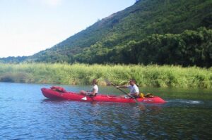 Kauai Adventure: Kayak & Hike to Secret Falls with Expert Guide - Stop rhythm: check-in at the marina, then Secret Falls time