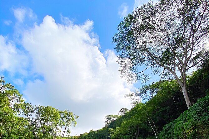 Kauai Adventure: Kayak & Hike to Secret Falls with Expert Guide - How hard is it, really? Fitness and terrain notes that matter