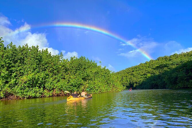 Kauai Adventure: Kayak & Hike to Secret Falls with Expert Guide - Price and value: is $140 a fair deal for 5 hours?