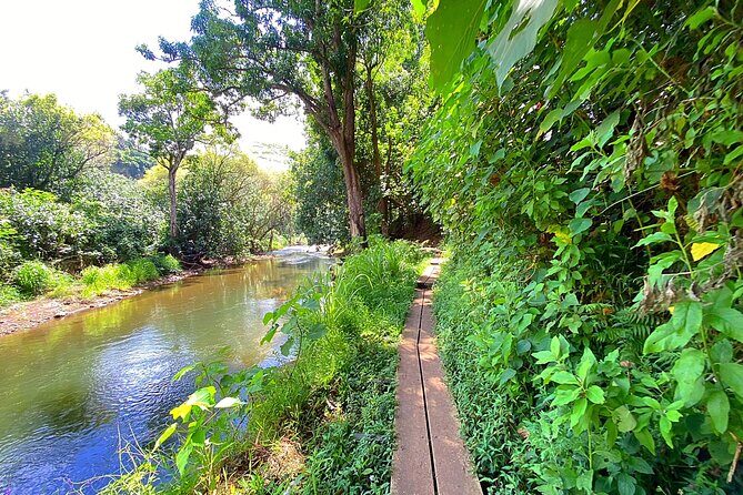 Kauai Adventure: Kayak & Hike to Secret Falls with Expert Guide - Weather, wind, and why guides cancel for safety
