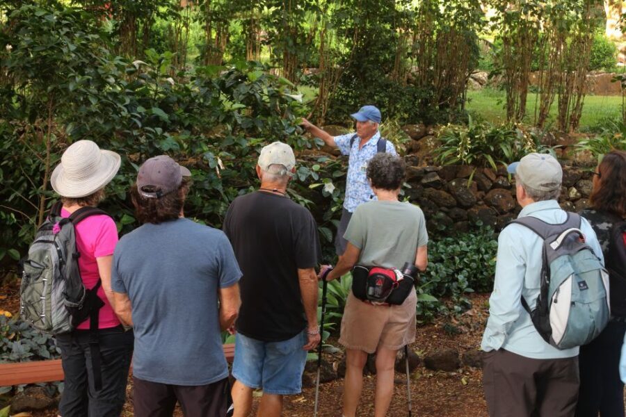 Kauai: Allerton Garden and Estate Tour with Sunset Dinner - Key things to know before you go
