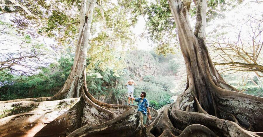 Kauai: Allerton Garden Guided Group Walking Tour - Key highlights before you go