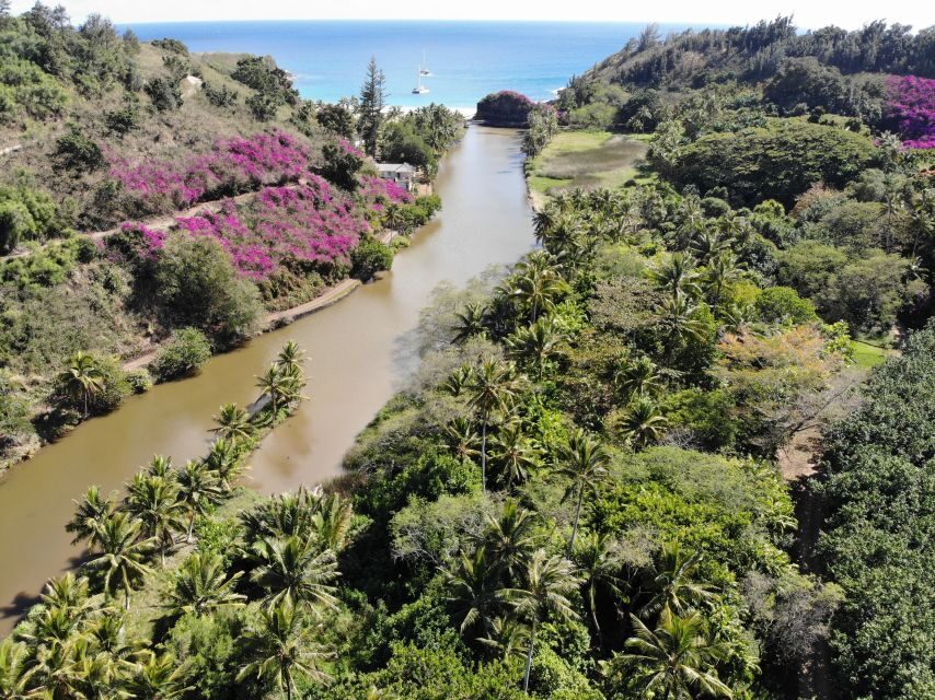 Kauai: Allerton Garden Guided Group Walking Tour - The 150-minute guided walk: pace, steps, and group comfort