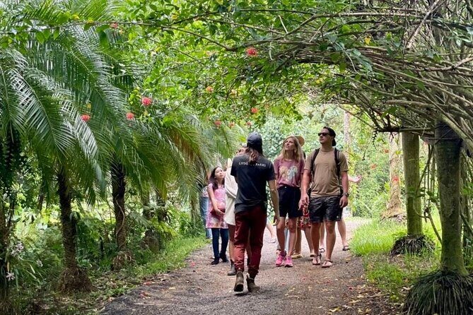 Kauai Chocolate Farm Tasting Tour - Lydgate Farms: What This Tour Actually Feels Like