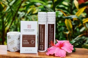 Kauai Chocolate Farm Tasting Tour - The Start: Botanical Gardens and Farm Tastings