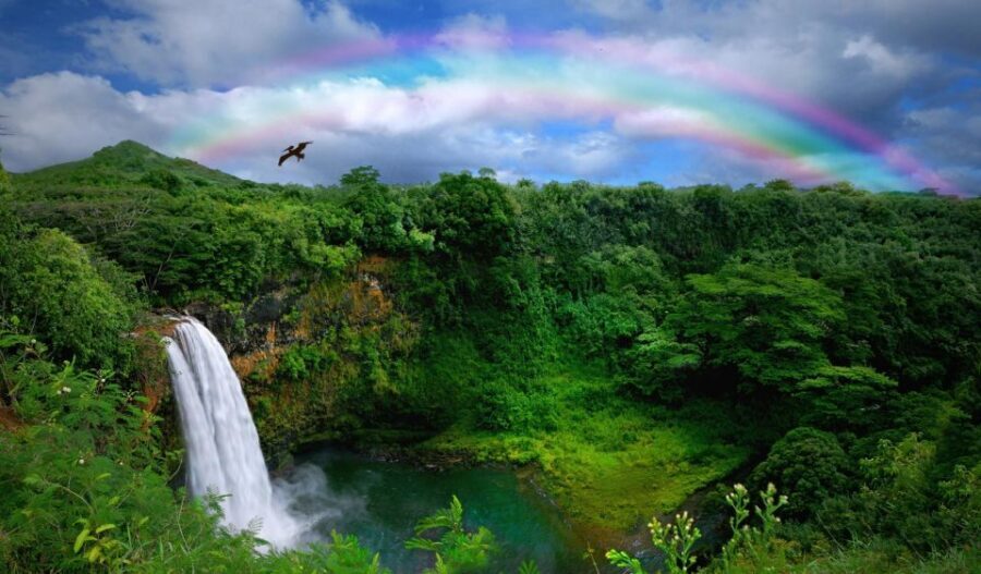 Kauai: Customized Luxury Private Tour - Private luxury driving on Kauai: why it matters in just 6 hours