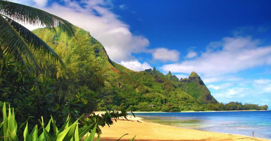 Kauai: Customized Luxury Private Tour - Choosing your coast: North & East waterfalls, Kilauea Lighthouse, and Hanalei Bay