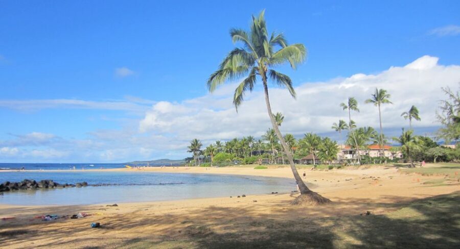 Kauai: Customized Luxury Private Tour - Should you book Kauai: Customized Luxury Private Tour?