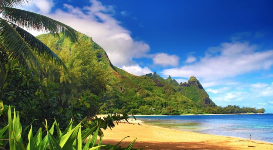 Kauai: Customized Luxury Private Tour - South & West sweep: Waimea Canyon, Spouting Horn, Poipu, and Koloa Town