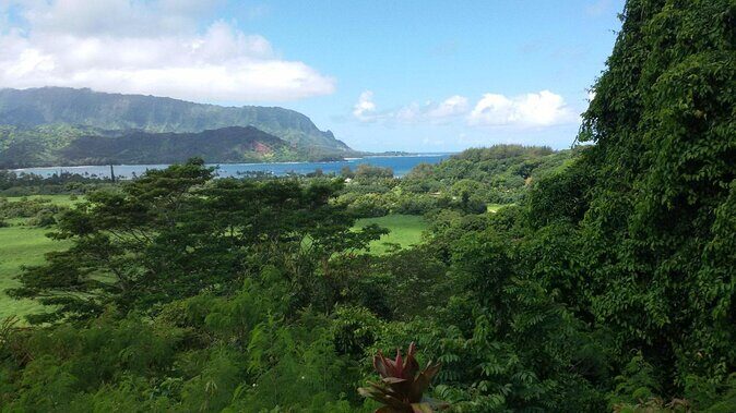 Kauai East Side and North Shore Private Guided Tour - Key Highlights Worth Booking For