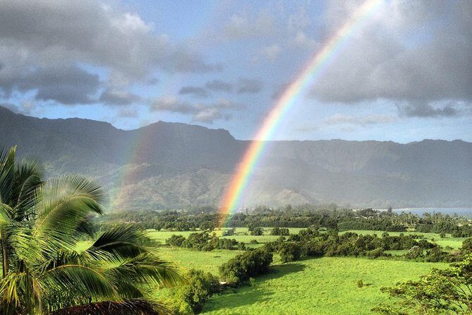 Kauai East Side and North Shore Private Guided Tour - Private Guiding with Noah’s Ark: What You Gain Beyond the Stops