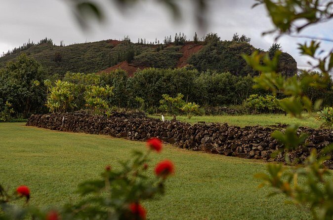 Kauai East Side SHARED Adventute - Lydgate Beach Park and Hikinaakalā Heiau: sacred ground plus sea air