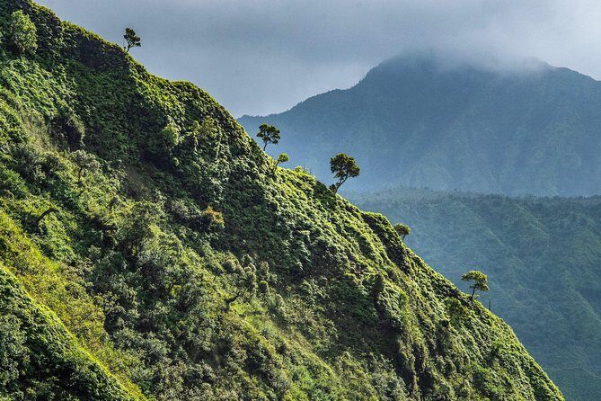 Kauai Eco Adventure Helicopter Tour - Photo and Video: What You Can Expect to Buy Later
