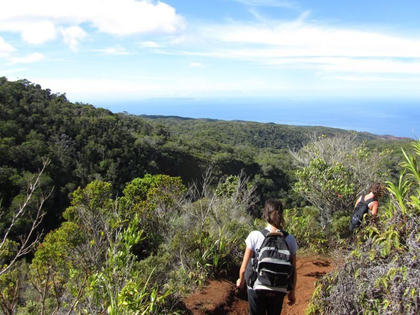 Kauai: Full-Day Kauaʻi Adventure - Meeting in Hanapēpē and then heading up: the drive matters
