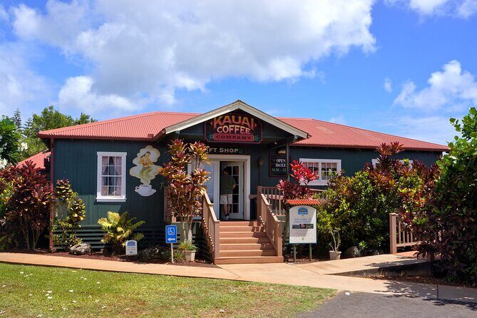 Kauai Full Day Tour with Cruise ships or Kauai Airport Pickup - Poipu Beach Park and Spouting Horn: Finish with Sea Turtles and Lava