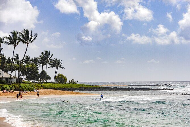 Kauai Full Day Tour with Cruise ships or Kauai Airport Pickup - How Much Time You Really Get (and What to Wear)