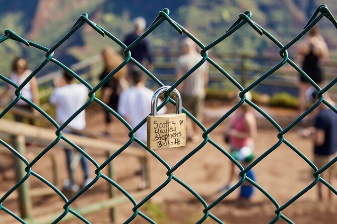 Kauai Full Day Tour with Cruise ships or Kauai Airport Pickup - Price Check: When $230 Feels Worth It