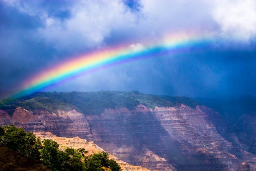 Kauai: Full-Day Waimea Canyon & Wailua River Tour - Spouting Horn: a quick coast stop for people who like short breaks