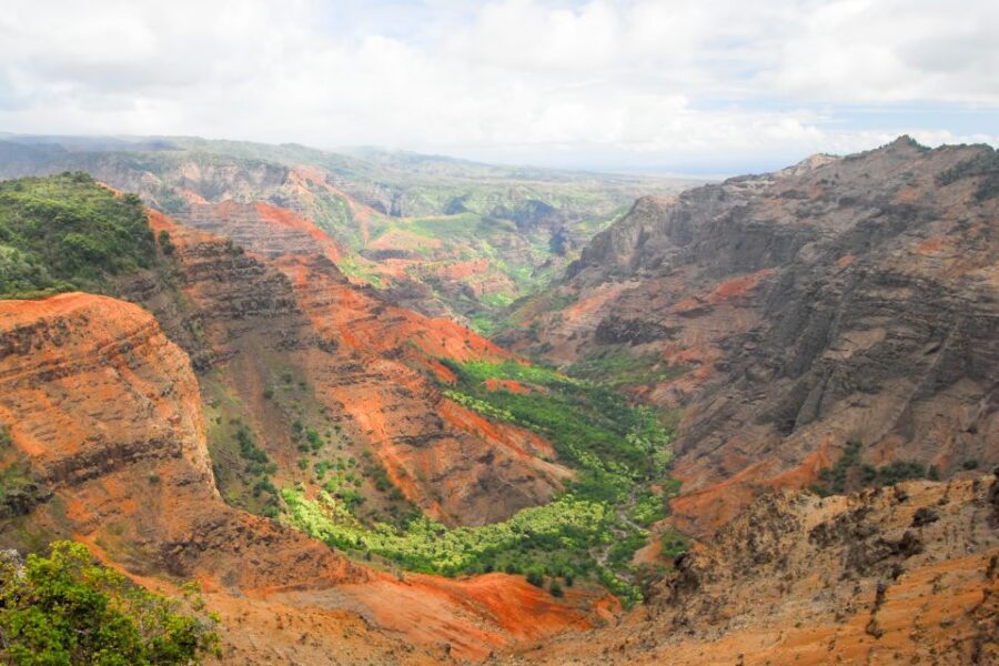 Kauai: Full-Day Waimea Canyon & Wailua River Tour - Price and value: why $238 can still make sense on a full-day tour