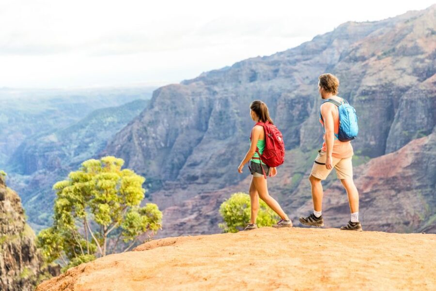 Kauai: Full-Day Waimea Canyon & Wailua River Tour - State Road 550 and Waimea Canyon lookouts: how the drive sets the tone