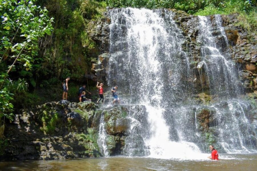 Kauai: Guided Hike and Waterfall Swim - Where this waterfall tour really delivers