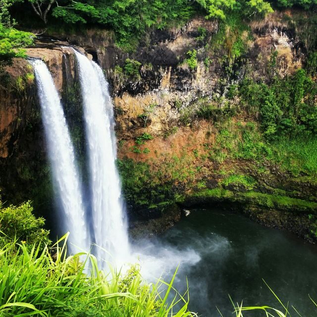 Kauai: Half-Day Kauaʻi Adventure - Jungle plants, birds, and history told on the move