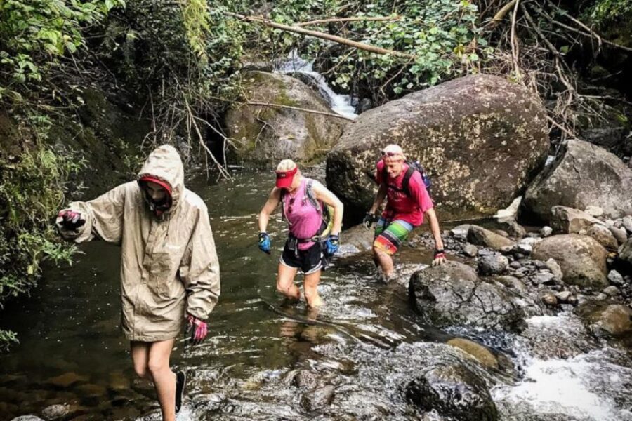 Kauai: Half-Day Kauaʻi Adventure - Gear and the mud reality: what you must be ready for